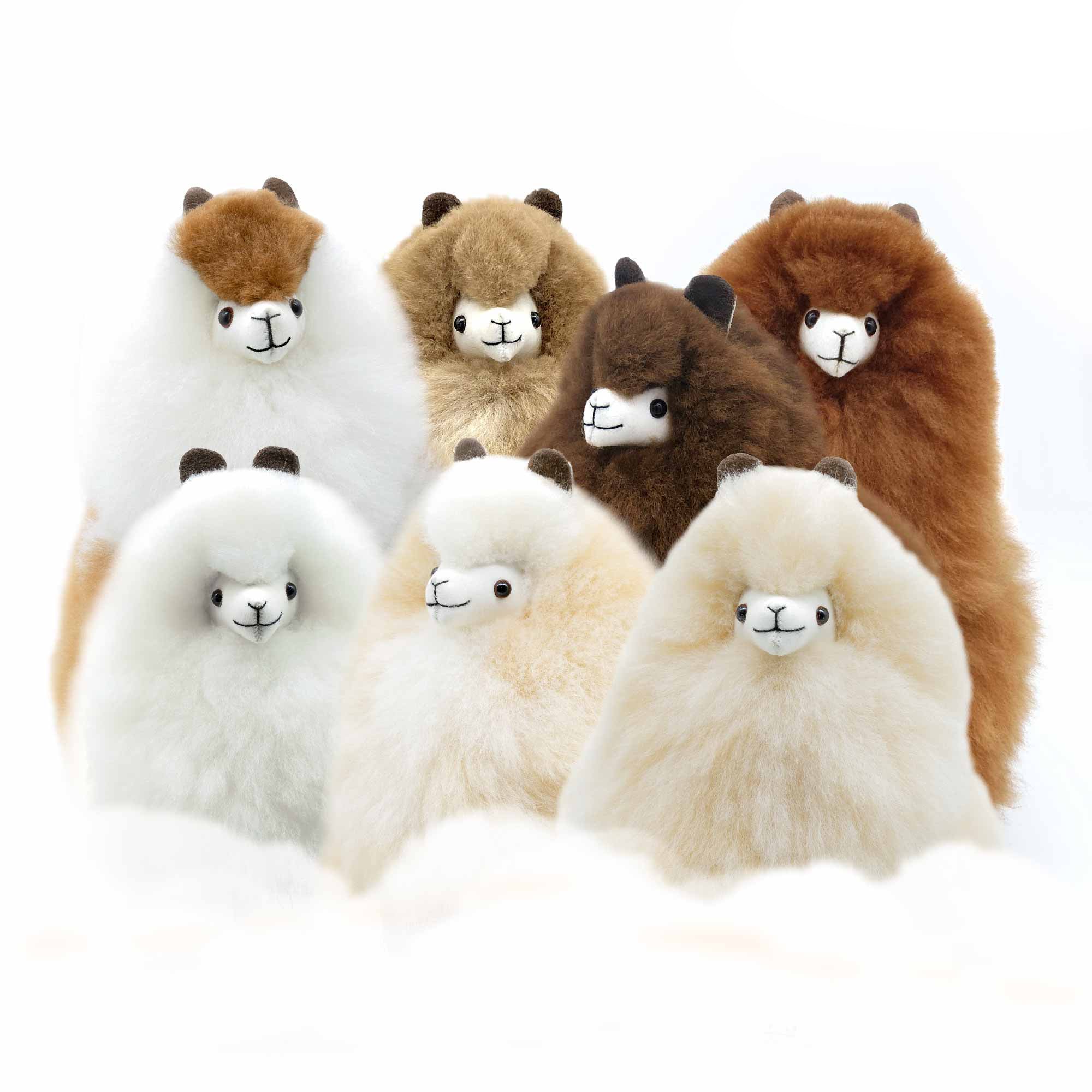 Inkari Alpacas